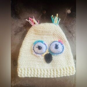 Hand Crochet Colorful Owl Knit Beanie